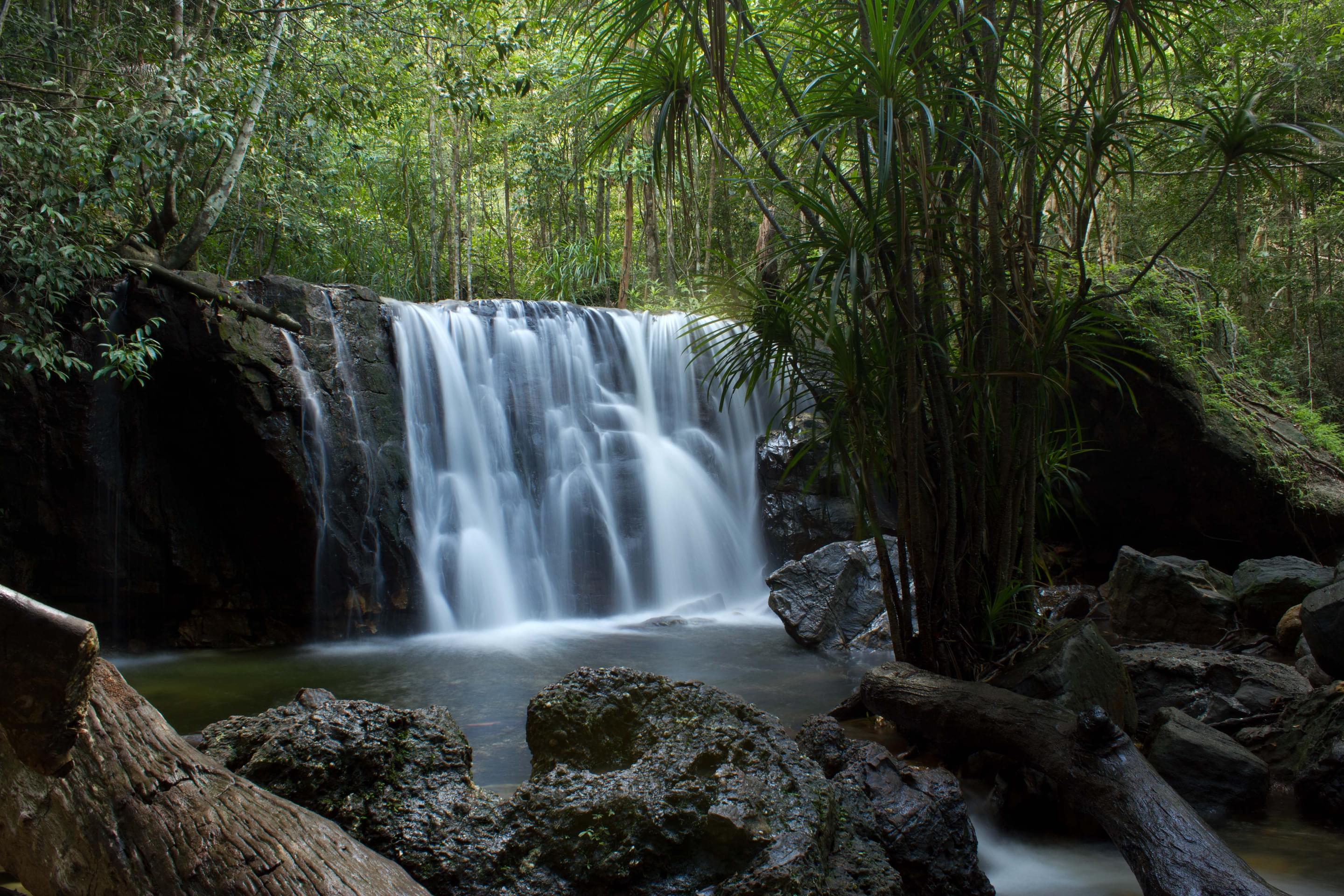 Suoi Tranh Waterfall Overview