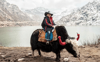gangtok-darjeeling-tour