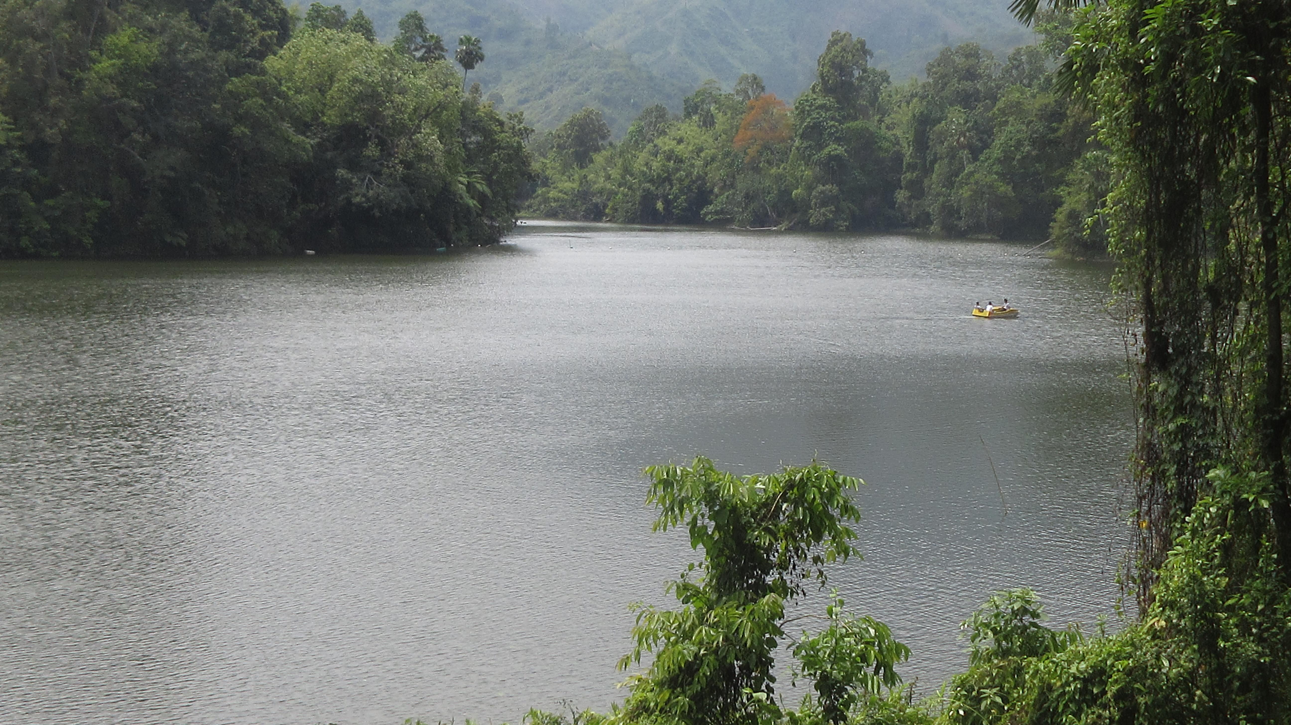 Indulge in Birdwatching and Butterfly Spotting