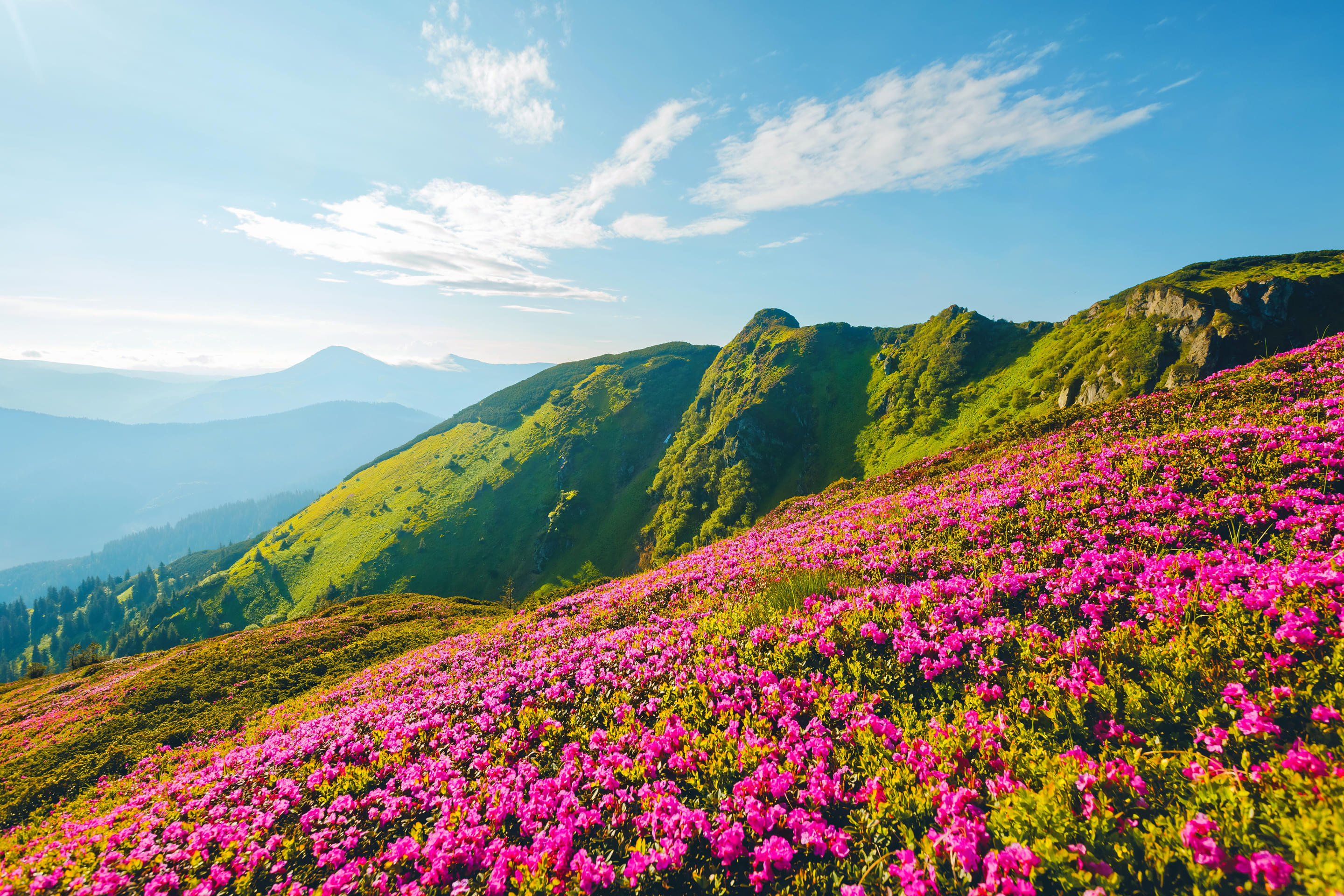 Carpathian Mountains Overview