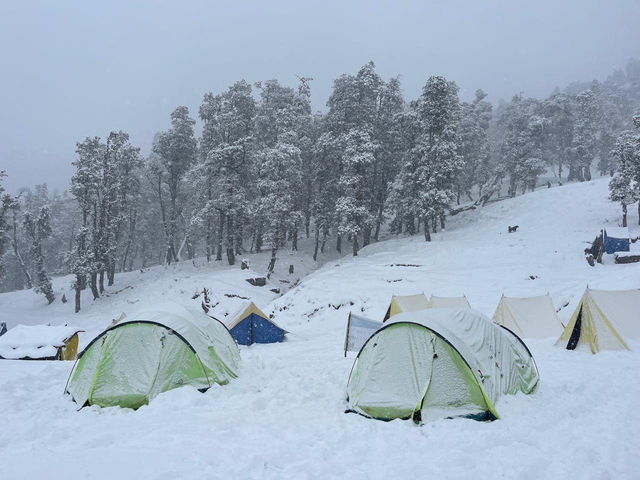 Shilpi 
