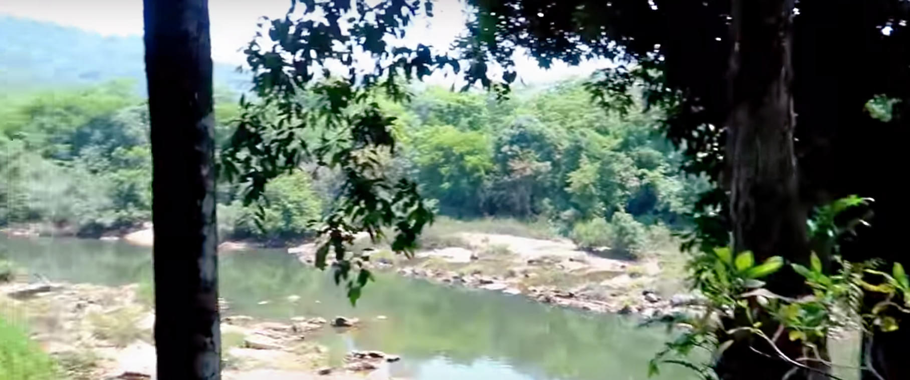 Balachandra Bhattathiri