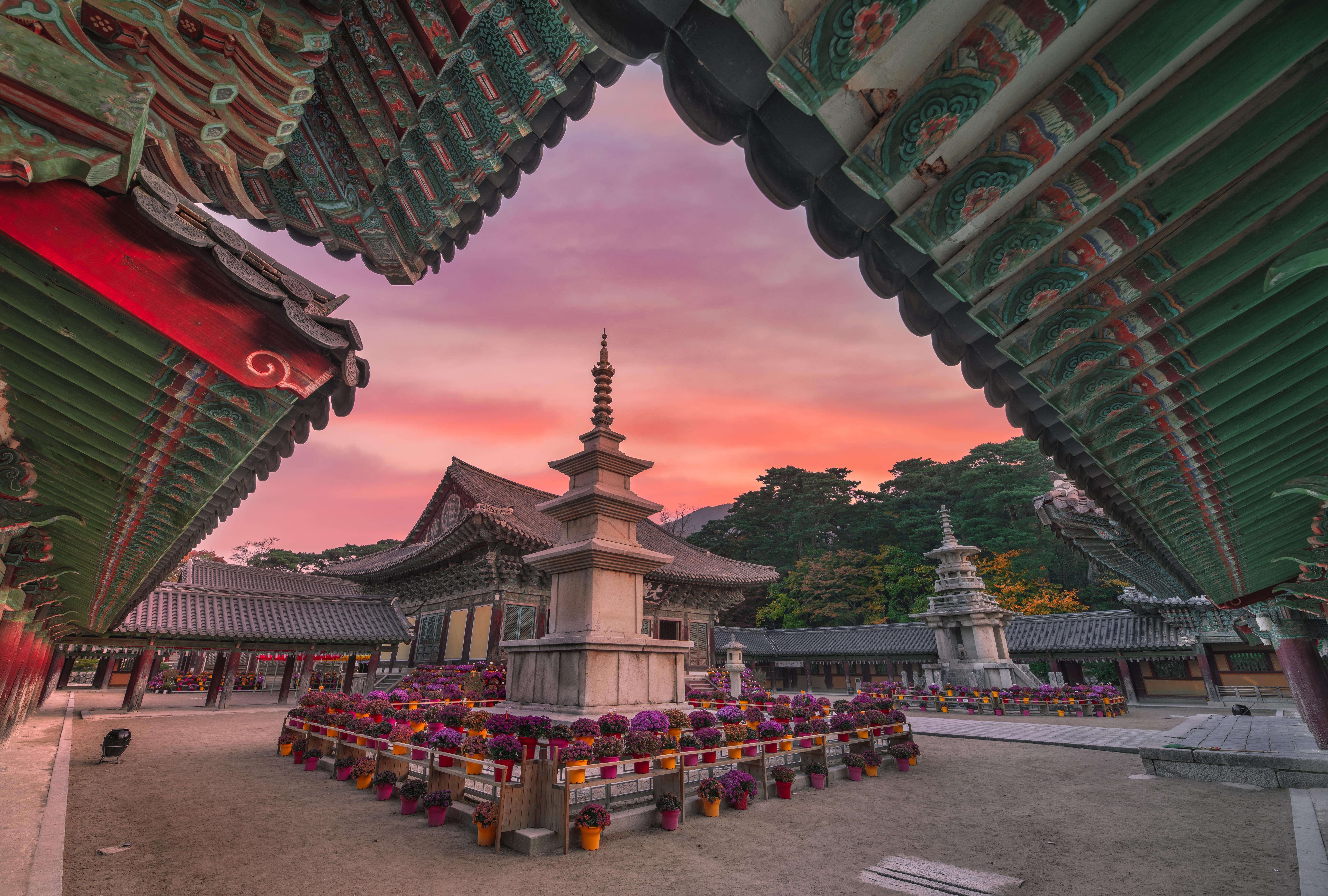 South Korea Packages from Goa | Get Upto 40% Off