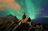 discover-iceland-with-free-whale-watching-tour