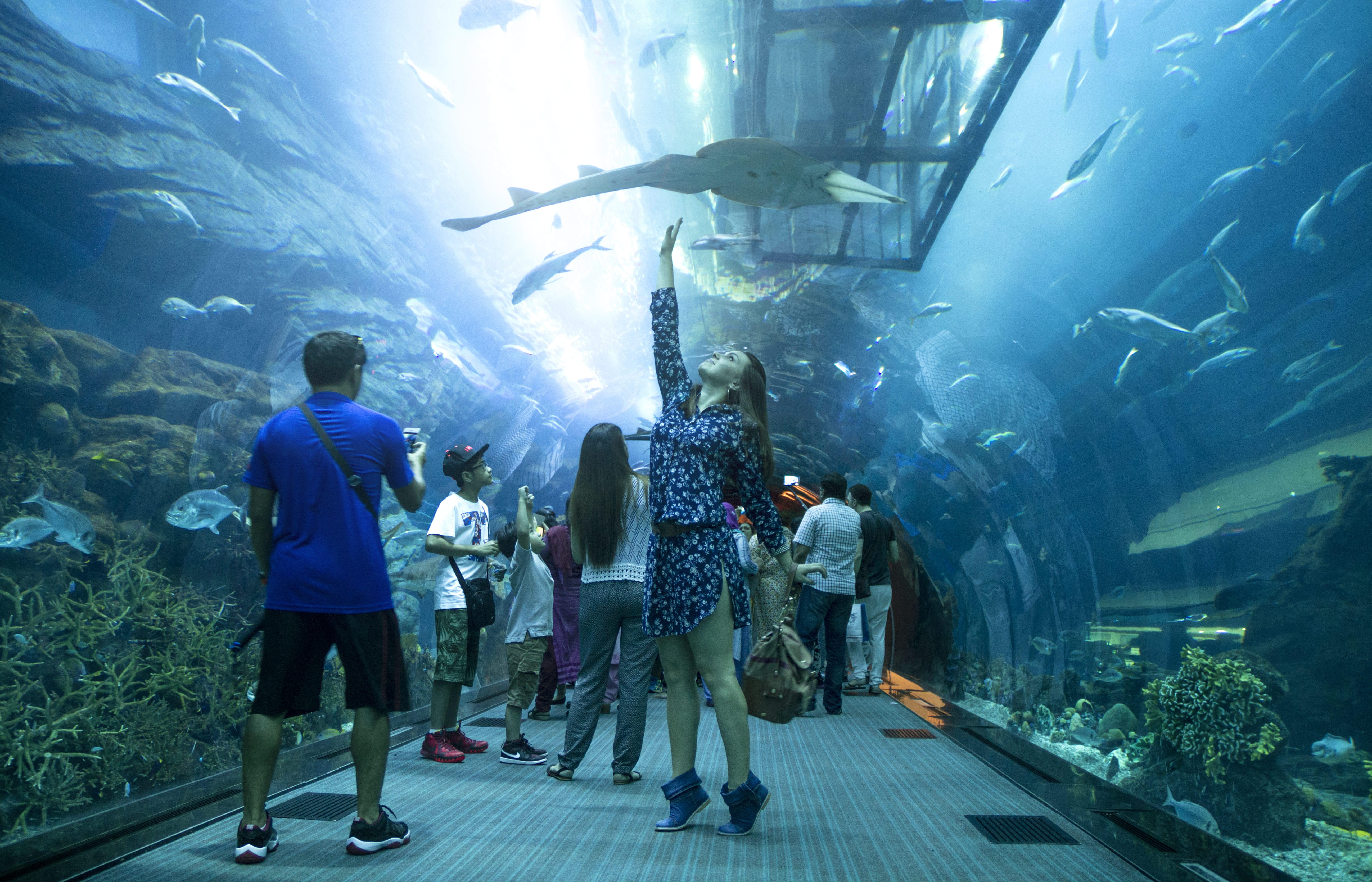 Dubai Packages from Surat | Get Upto 40% Off