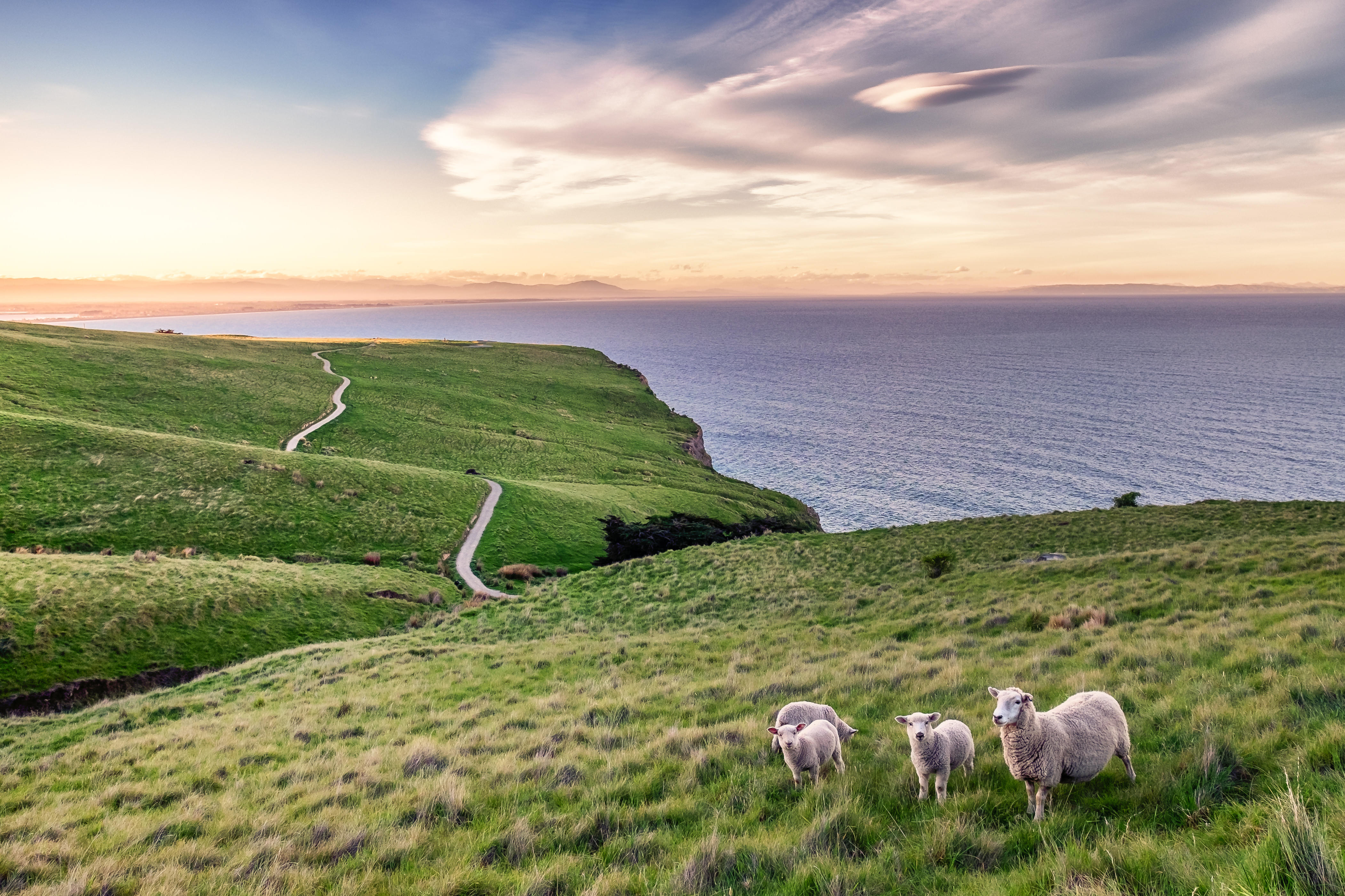 New Zealand Packages from Goa | Get Upto 40% Off