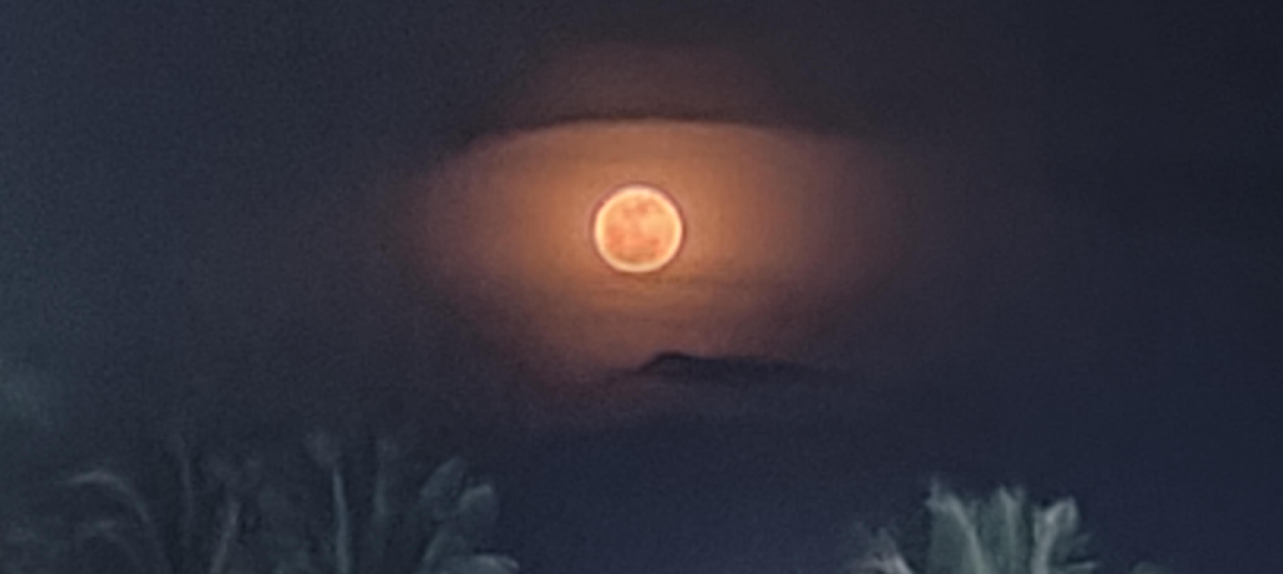 Rakshita  .